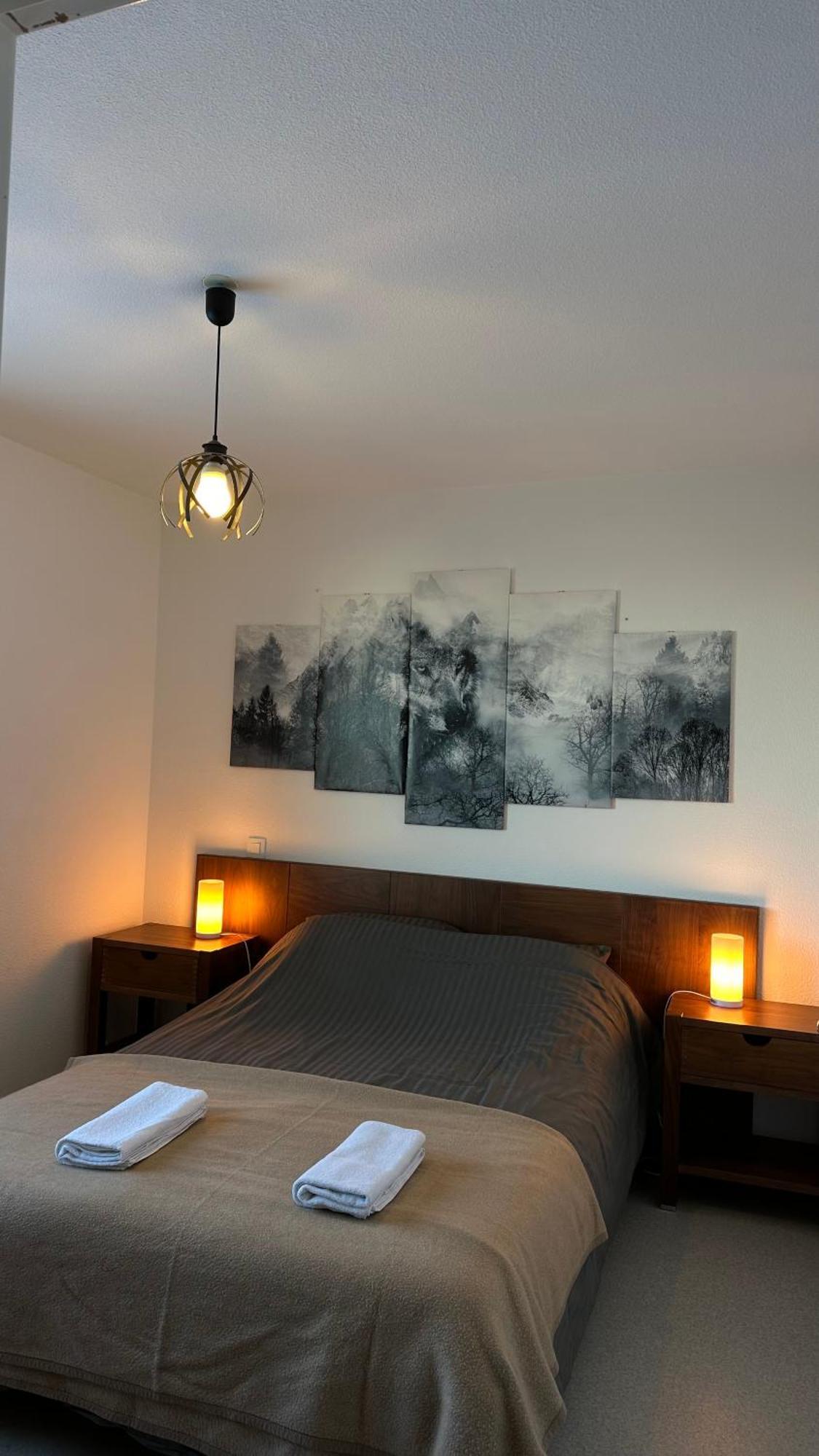ארט Appartements Du Pic D'Anie מראה חיצוני תמונה