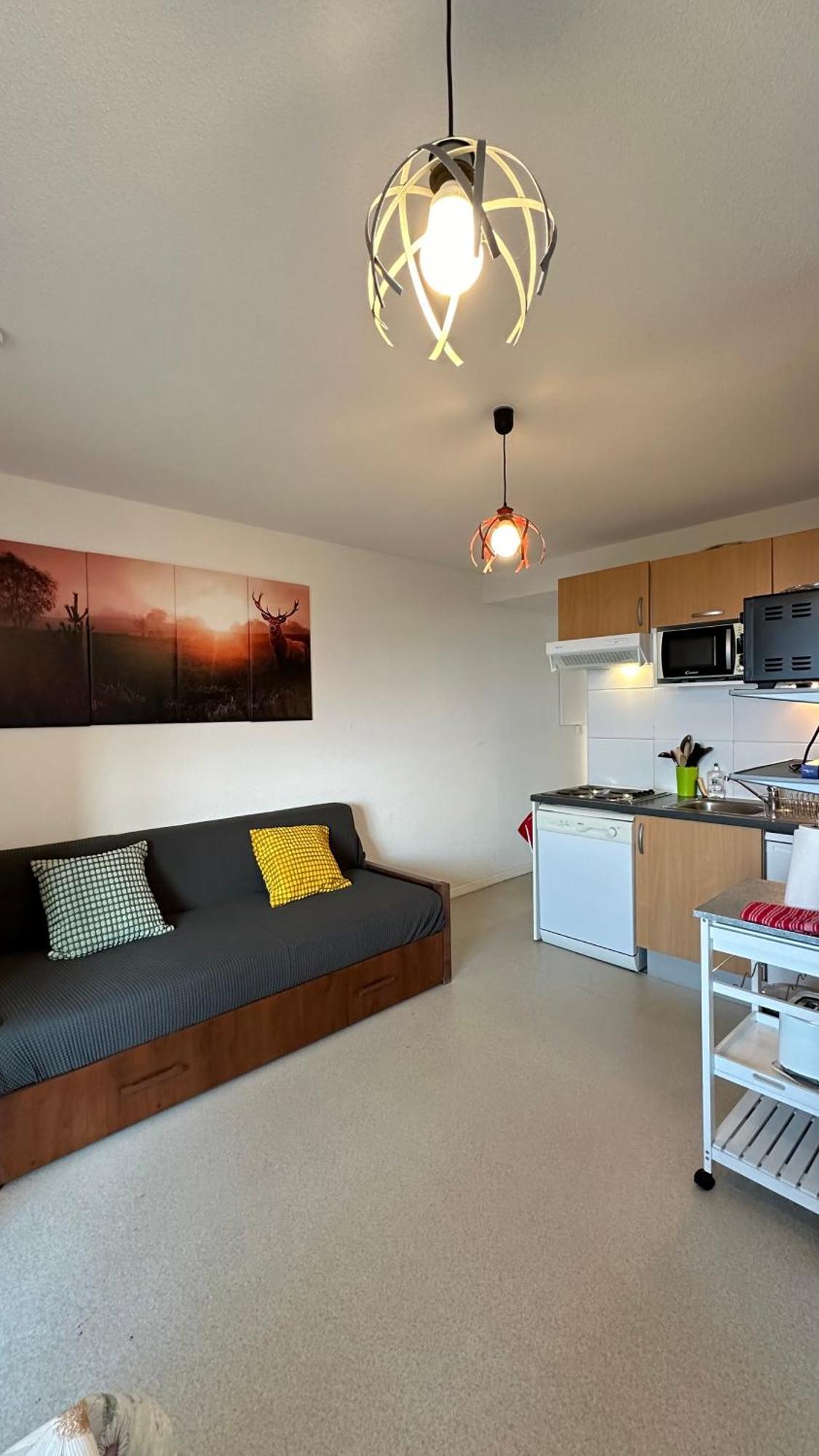ארט Appartements Du Pic D'Anie מראה חיצוני תמונה