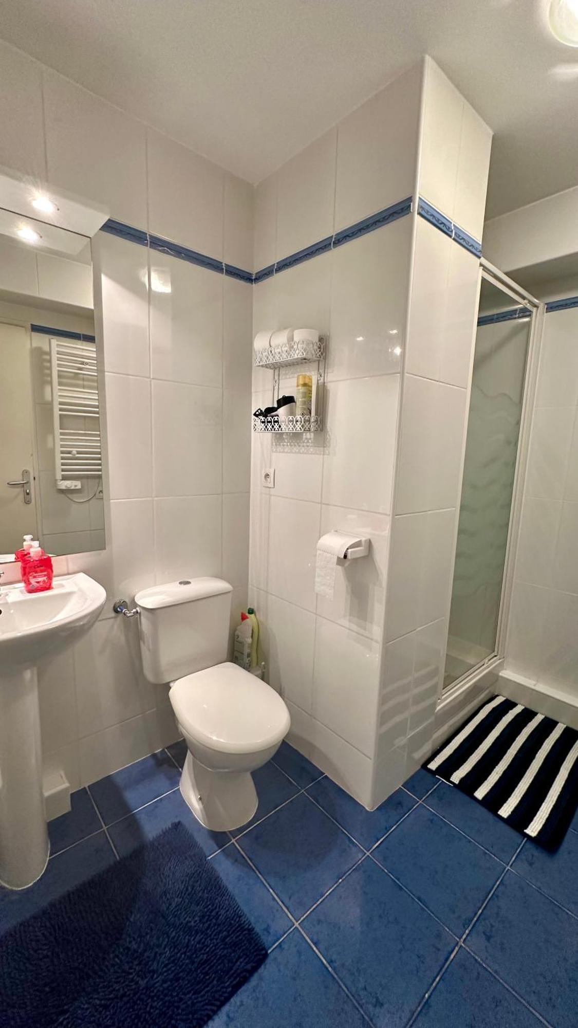 ארט Appartements Du Pic D'Anie מראה חיצוני תמונה