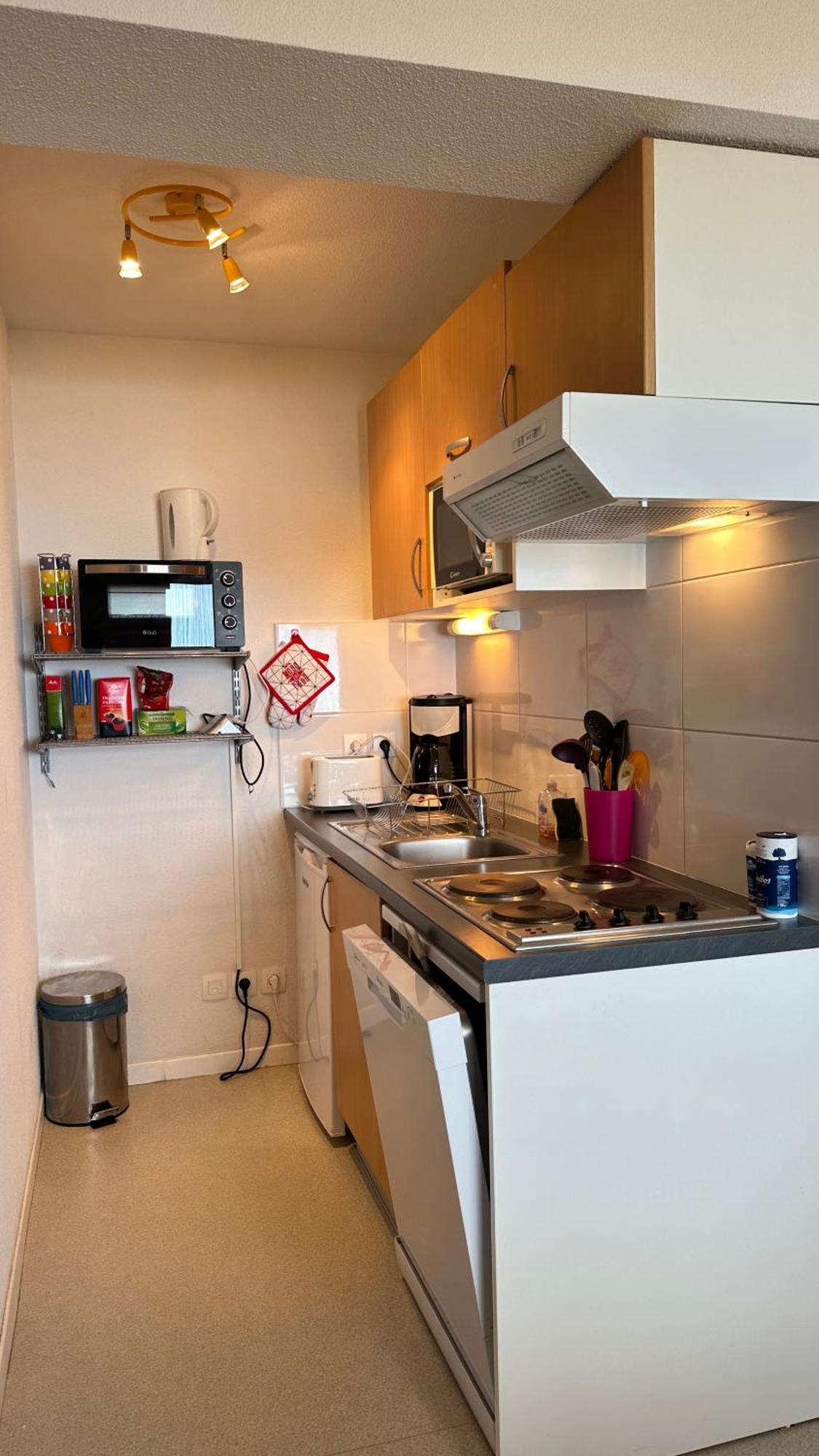 ארט Appartements Du Pic D'Anie מראה חיצוני תמונה