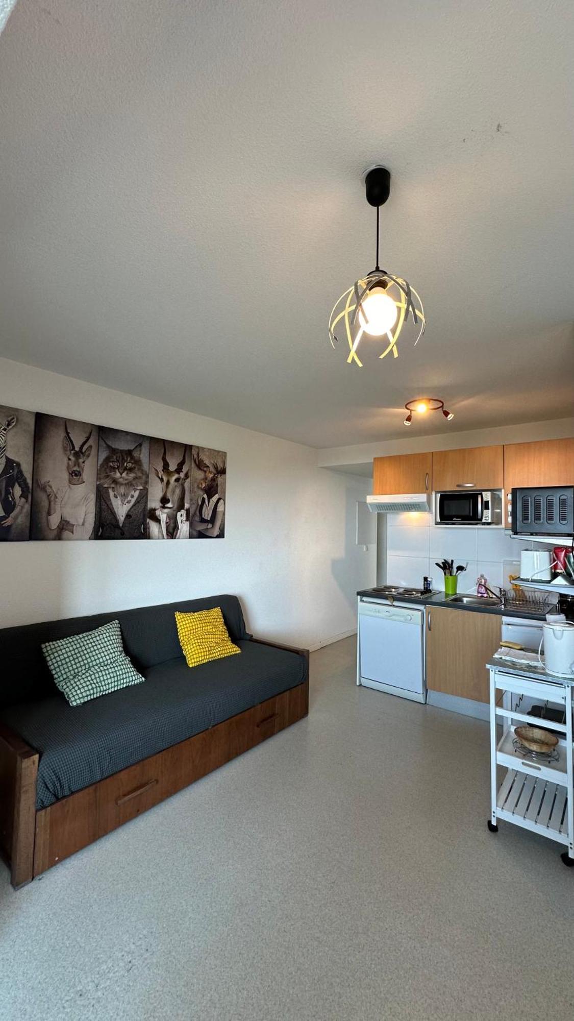 ארט Appartements Du Pic D'Anie מראה חיצוני תמונה